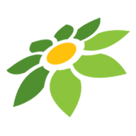 LINK CASINO WAP